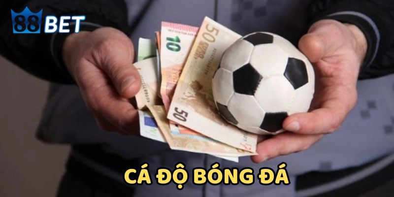 Cách tăng lợi nhuận